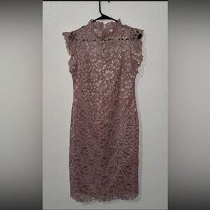 Enfocus Studio Light Pink Lined Lace Dress 6 Chinese Style Knee Length High Nec